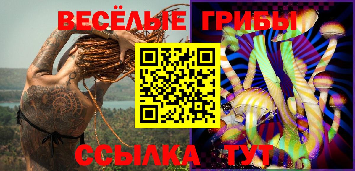 Галлюциногенные грибы Psilocybe Кировск