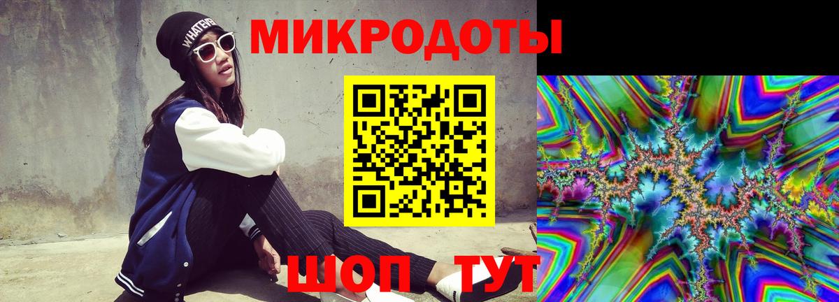 Кировск  Галлюциногенные грибы Psilocybine cubensis  Вход с VPN 